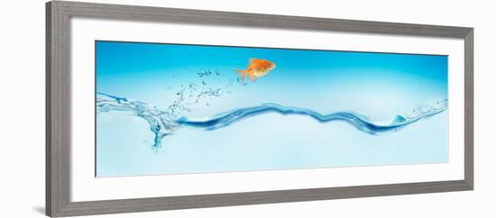 Goldfish Jumping Out of Water-null-Framed Photographic Print