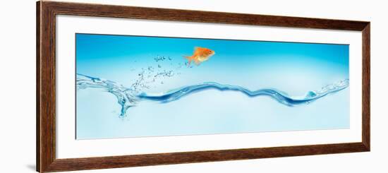 Goldfish Jumping Out of Water-null-Framed Photographic Print