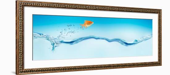 Goldfish Jumping Out of Water-null-Framed Photographic Print