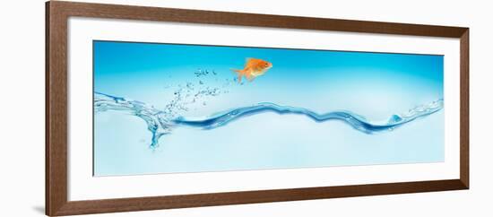 Goldfish Jumping Out of Water-null-Framed Photographic Print