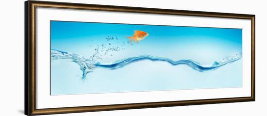 Goldfish Jumping Out of Water-null-Framed Photographic Print