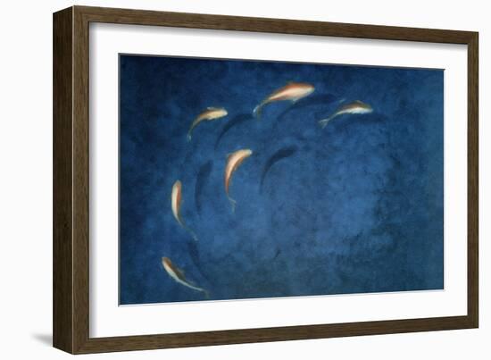 Goldfish Pool-Lincoln Seligman-Framed Giclee Print