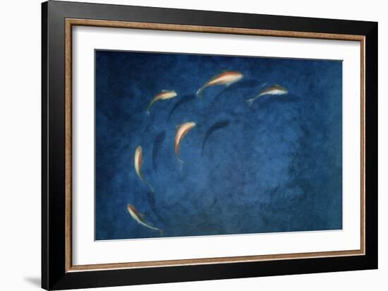 Goldfish Pool-Lincoln Seligman-Framed Giclee Print