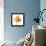 Goldfish Studio Shot-null-Framed Premier Image Canvas displayed on a wall