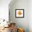 Goldfish Studio Shot-null-Framed Premier Image Canvas displayed on a wall