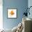 Goldfish Studio Shot-null-Framed Photographic Print displayed on a wall
