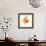 Goldfish Studio Shot-null-Framed Photographic Print displayed on a wall