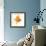 Goldfish Studio Shot-null-Framed Photographic Print displayed on a wall