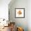 Goldfish Studio Shot-null-Framed Photographic Print displayed on a wall