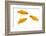 Goldfish Swimming in Water-Herbert Kehrer-Framed Photographic Print