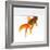 Goldfish Swimming Just Below the Surface of the Water-Mark Mawson-Framed Photographic Print