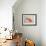 Goldfish, Three Quarter View-null-Framed Photographic Print displayed on a wall