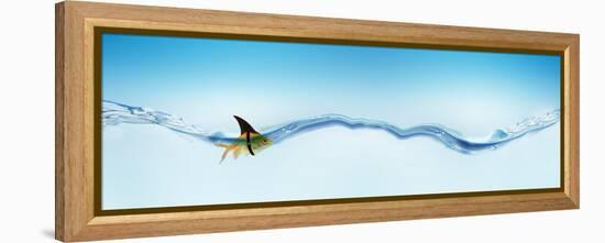 Goldfish Wearing Shark Fin-null-Framed Stretched Canvas