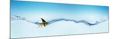 Premium Photographic Print
