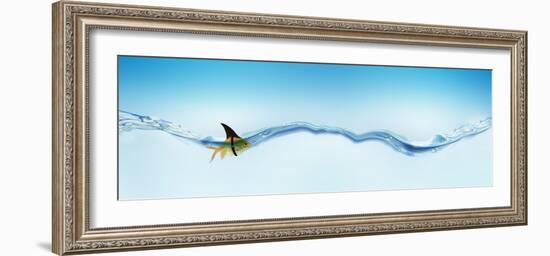 Goldfish Wearing Shark Fin-null-Framed Photographic Print