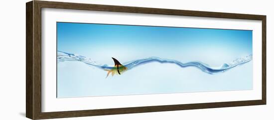 Goldfish Wearing Shark Fin-null-Framed Photographic Print