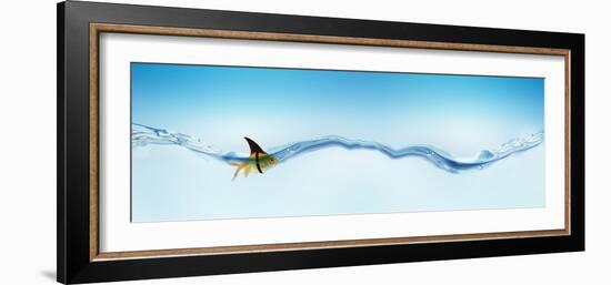 Goldfish Wearing Shark Fin-null-Framed Photographic Print