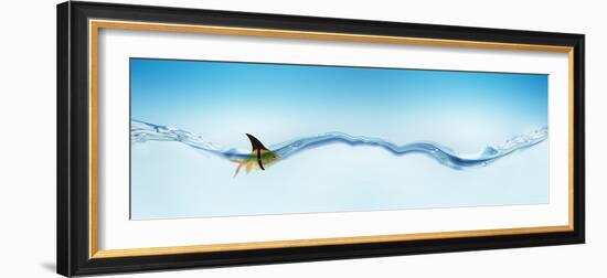 Goldfish Wearing Shark Fin-null-Framed Photographic Print