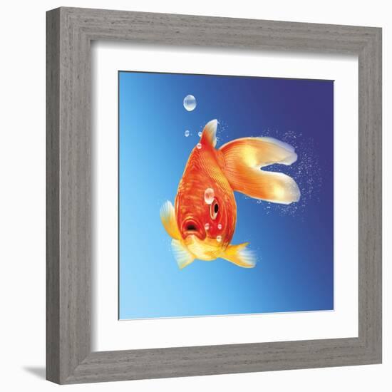 Goldfish with Water Bubbles-null-Framed Art Print