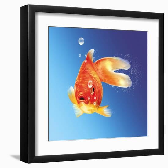 Goldfish with Water Bubbles-null-Framed Art Print