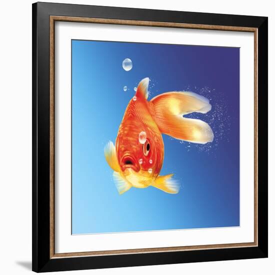Goldfish with Water Bubbles-null-Framed Premium Giclee Print