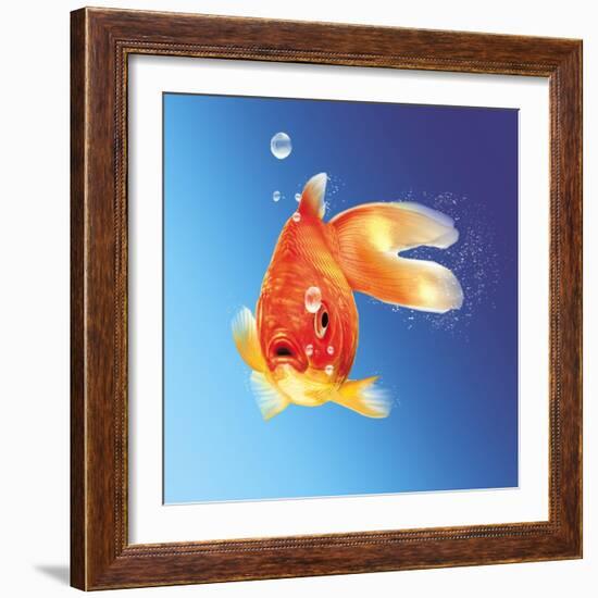 Goldfish with Water Bubbles-null-Framed Art Print