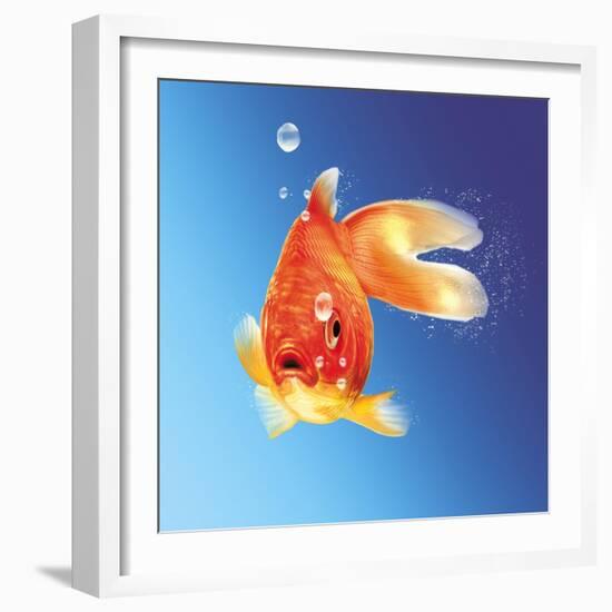 Goldfish with Water Bubbles-null-Framed Art Print