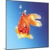 Goldfish with Water Bubbles-null-Mounted Art Print