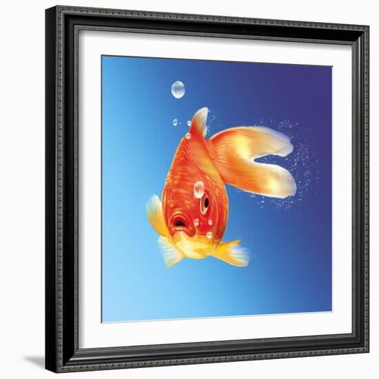 Goldfish with Water Bubbles-null-Framed Art Print