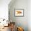 Goldfish-Mark Mawson-Framed Photographic Print displayed on a wall