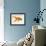 Goldfish-Mark Mawson-Framed Photographic Print displayed on a wall