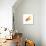 Goldfish-Mark Mawson-Photographic Print displayed on a wall
