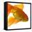 Goldfish-Mark Mawson-Framed Premier Image Canvas