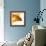 Goldfish-Mark Mawson-Framed Photographic Print displayed on a wall