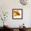 Goldfish-Mark Mawson-Framed Photographic Print displayed on a wall