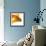 Goldfish-Mark Mawson-Framed Photographic Print displayed on a wall