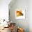 Goldfish-Mark Mawson-Framed Photographic Print displayed on a wall