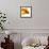 Goldfish-Mark Mawson-Framed Photographic Print displayed on a wall