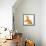 Goldfish-Mark Mawson-Framed Premier Image Canvas displayed on a wall