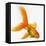 Goldfish-Mark Mawson-Framed Premier Image Canvas