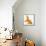 Goldfish-Mark Mawson-Framed Premier Image Canvas displayed on a wall