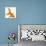 Goldfish-Mark Mawson-Premium Photographic Print displayed on a wall