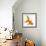 Goldfish-Mark Mawson-Framed Photographic Print displayed on a wall