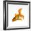 Goldfish-Mark Mawson-Framed Photographic Print