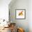 Goldfish-Mark Mawson-Framed Photographic Print displayed on a wall