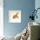 Goldfish-Mark Mawson-Framed Photographic Print displayed on a wall