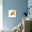 Goldfish-Mark Mawson-Mounted Photographic Print displayed on a wall