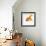 Goldfish-Mark Mawson-Framed Photographic Print displayed on a wall