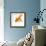 Goldfish-Mark Mawson-Framed Photographic Print displayed on a wall