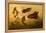 Goldfish-F.W. Kuhnert-Framed Stretched Canvas